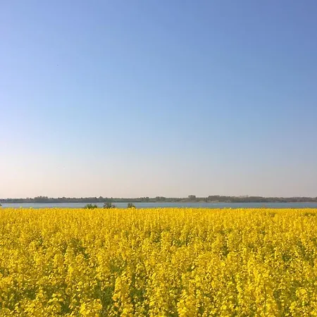 בית נופש Ruegenhus